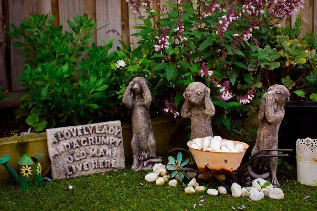 Refreshing Your Garden Beds for a Healthy Spring Start