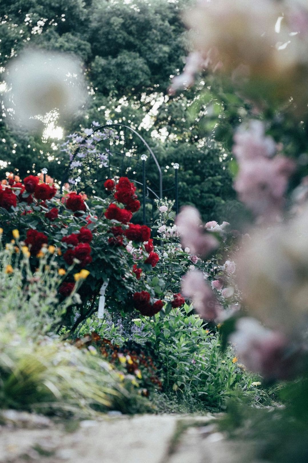 Simple Irrigation Tips to Help Your Landscape Thrive This Season