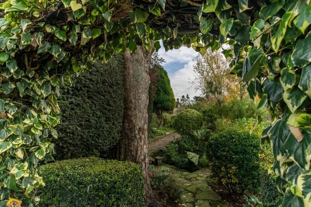 Maple Grove Gardens 10