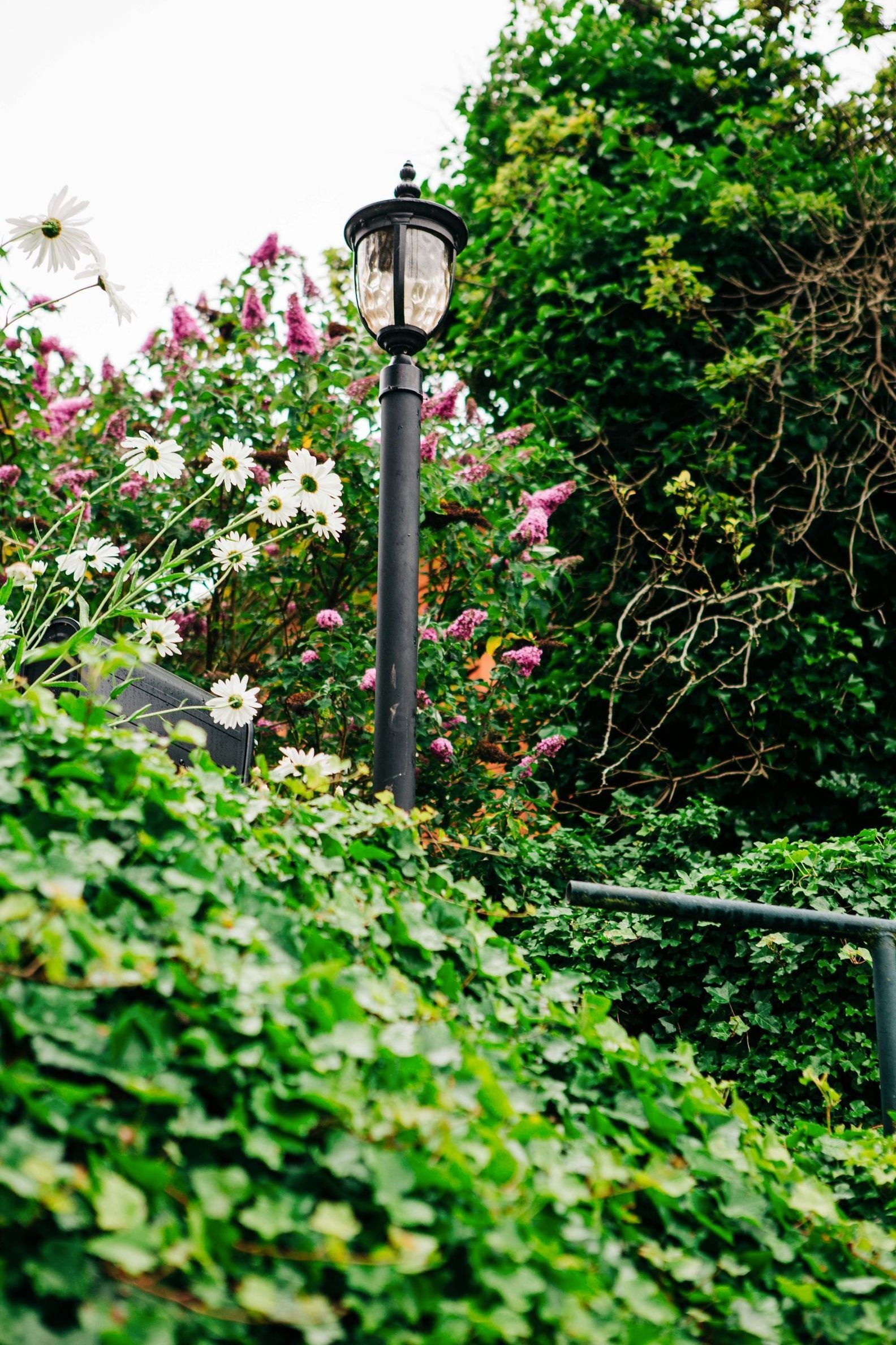 Maple Grove Gardens