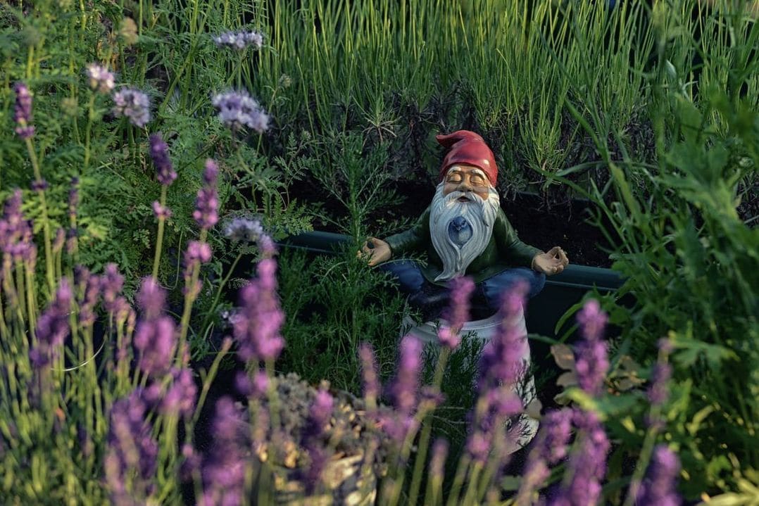 Planting and annual flower installation